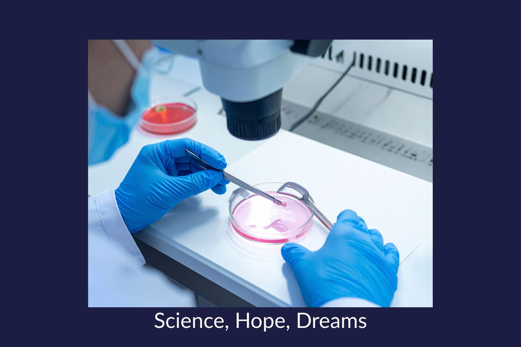 Petri dish -- science, hope, dreams